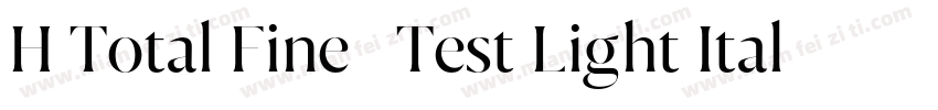 H Total Fine   Test Light Italic字体转换